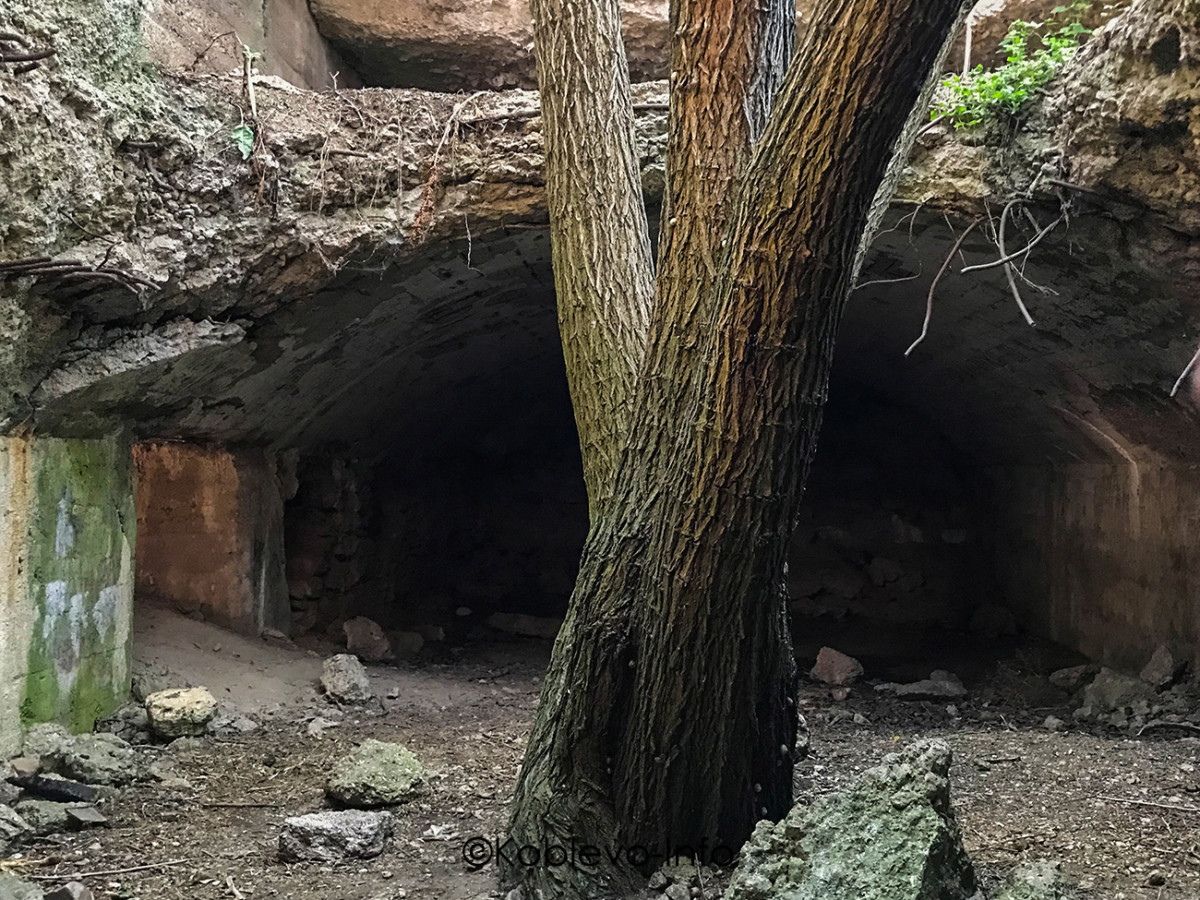 Достопримечательности на острове Березань