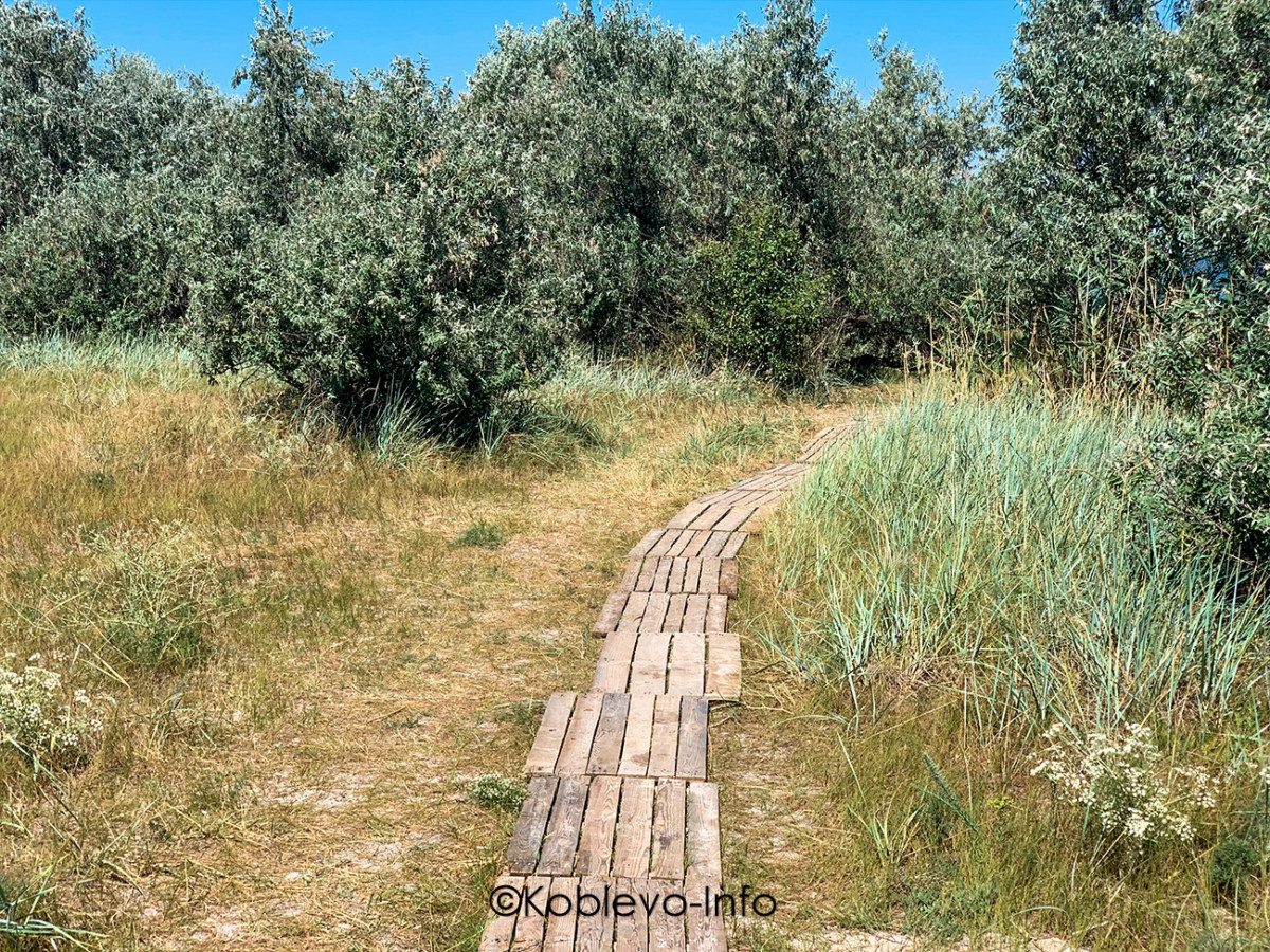 Семейные экскурсии в Коблево