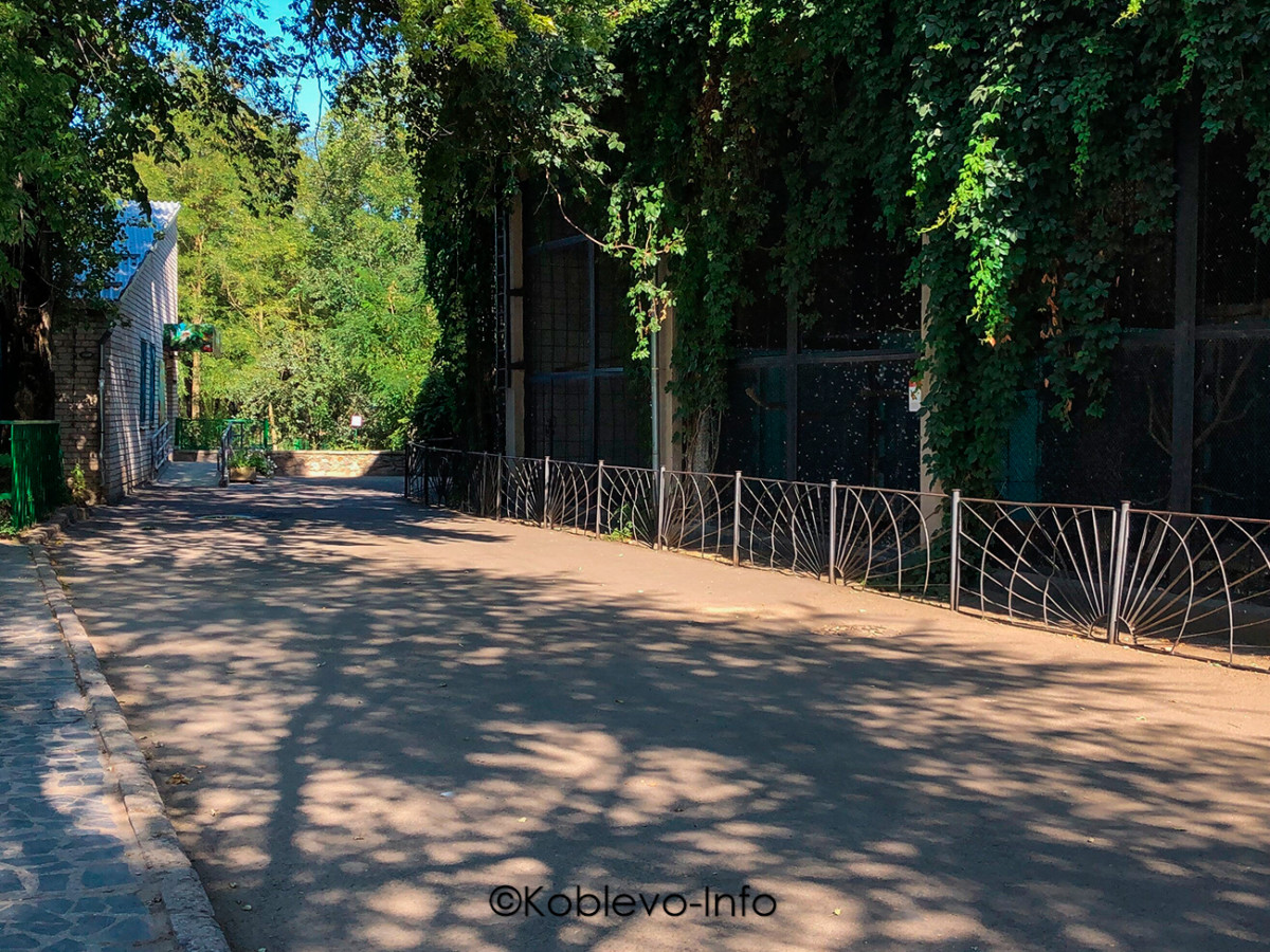 Заказать экскурсию в зоопарк из Коблево