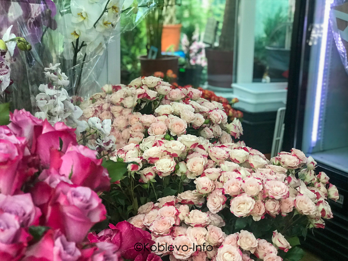 Заказать доставку из магазина Новый сад в Коблево летом 2021