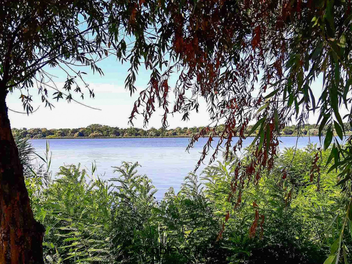 Река Дунай в Одесской области