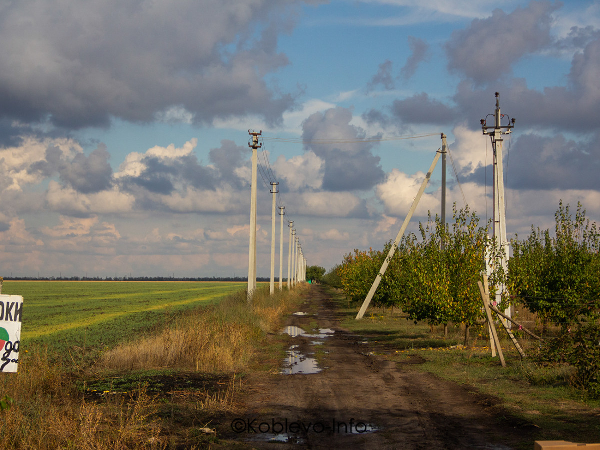 Экскурсия в яблочный сад