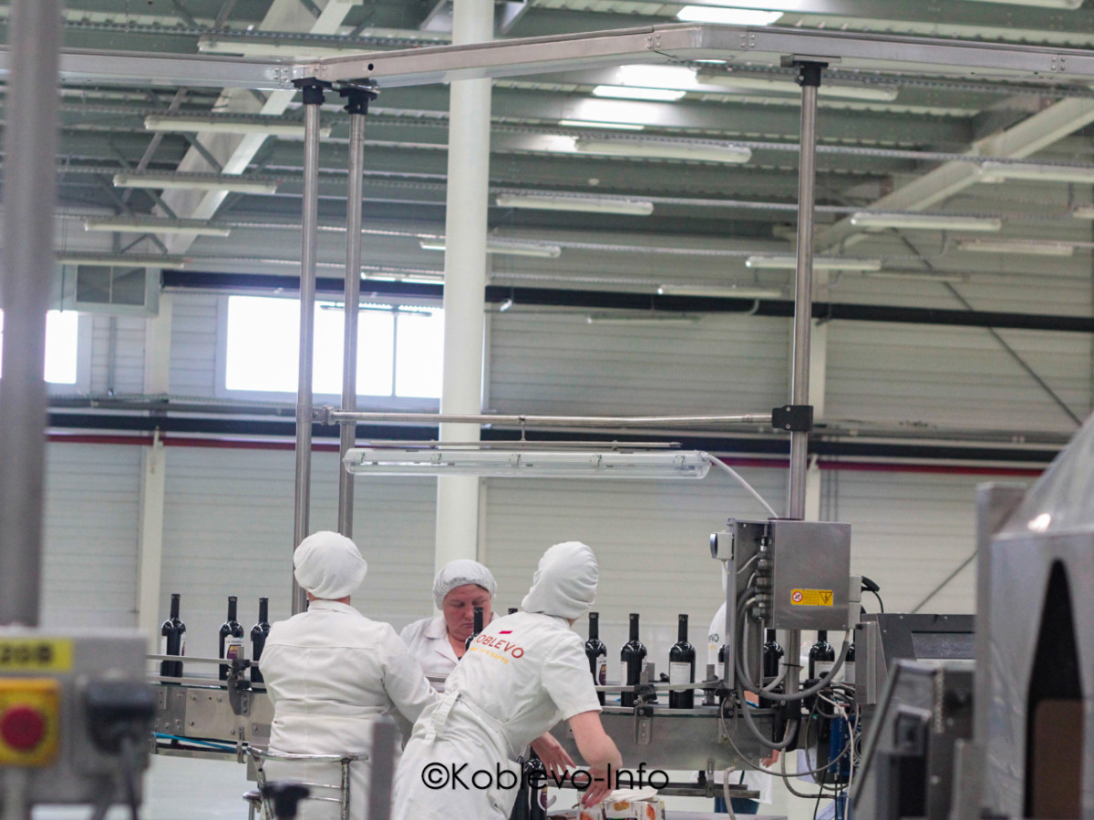 Рабочий процесс на винзаводе в Коблево