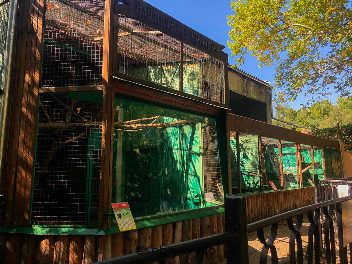 Орлы в зоопарке Николаева