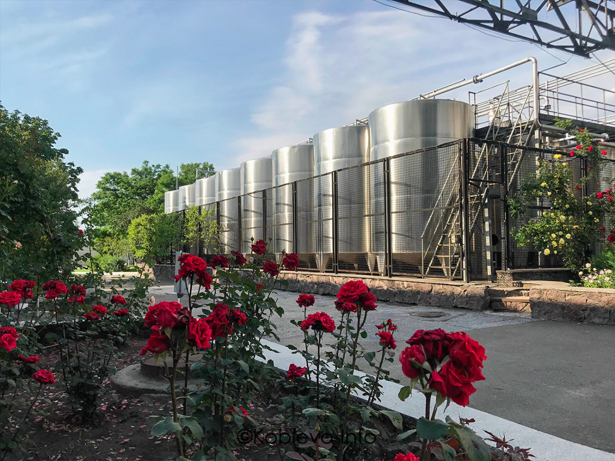 Фото территории завода Дом вина Коблево
