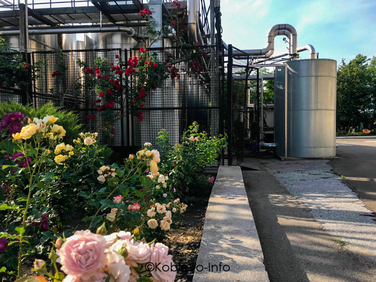 Цены на экскурсии Коблево