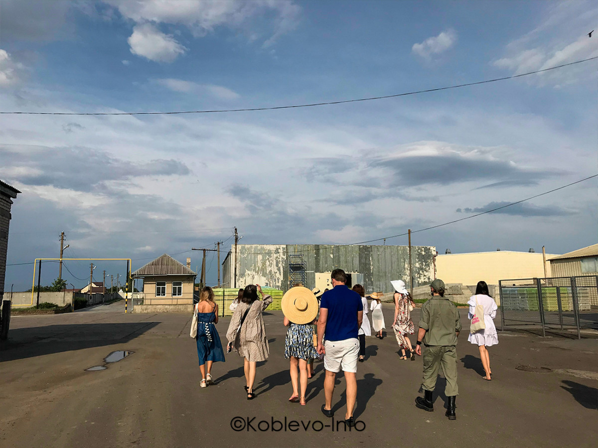 Купить фирменные вина Коблево