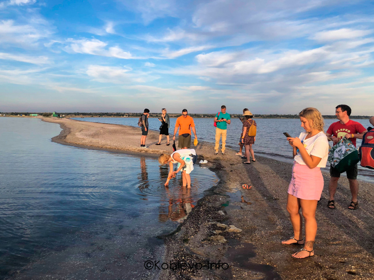 Поесть устриц в Коблево