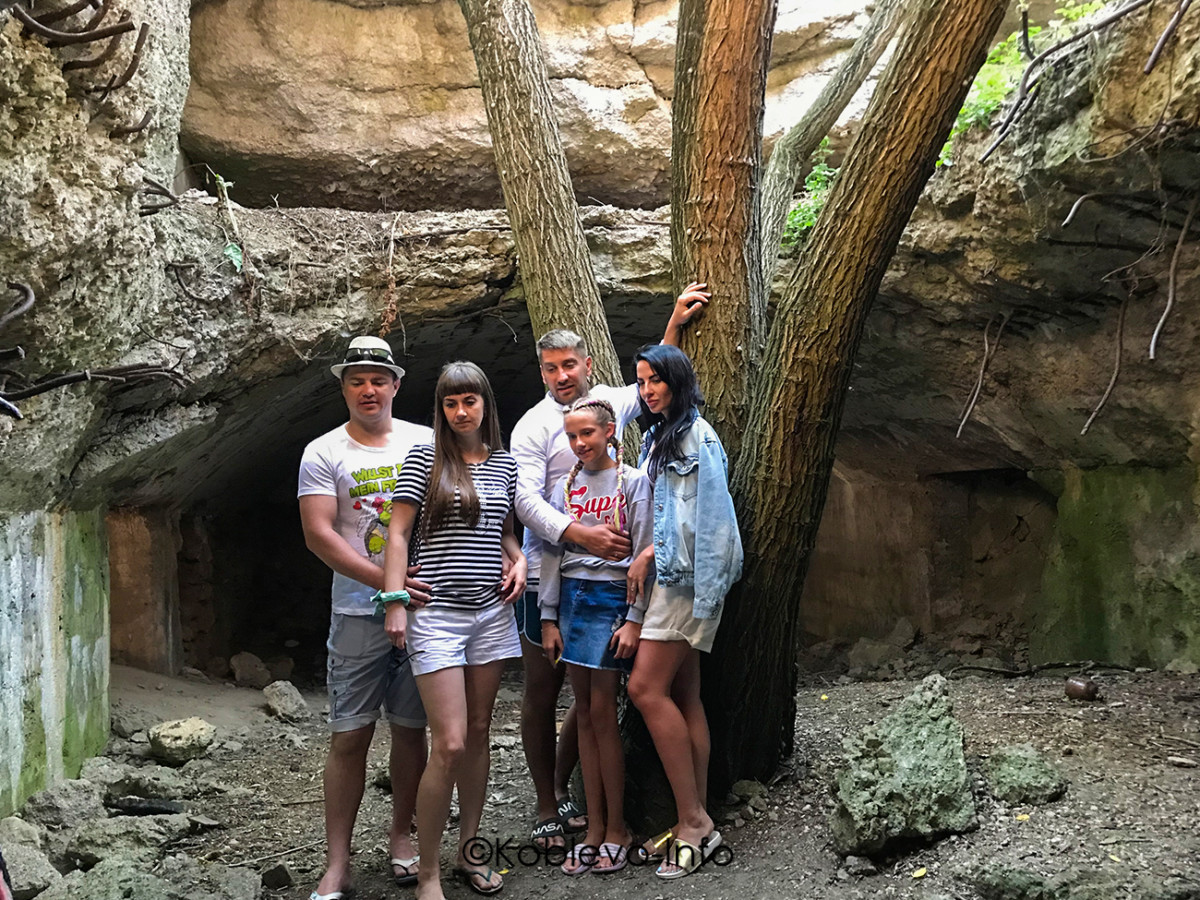 Дерево на острове Березань