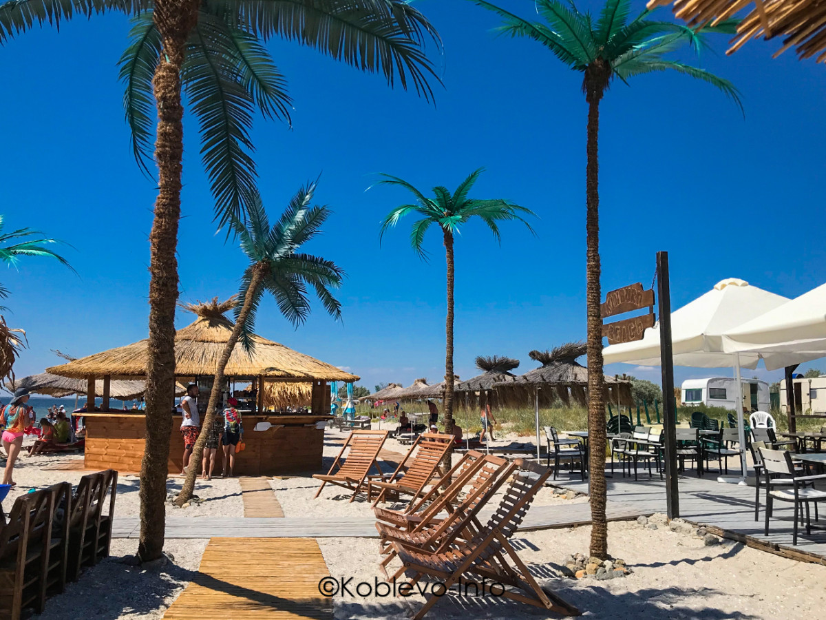 Заказать экскурсию на Кинбурнскую косу летом