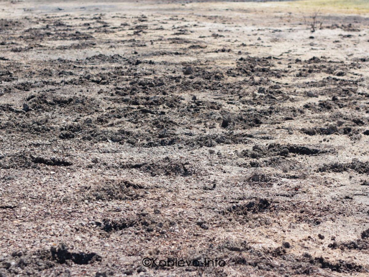 Как использовать лечебную грязь