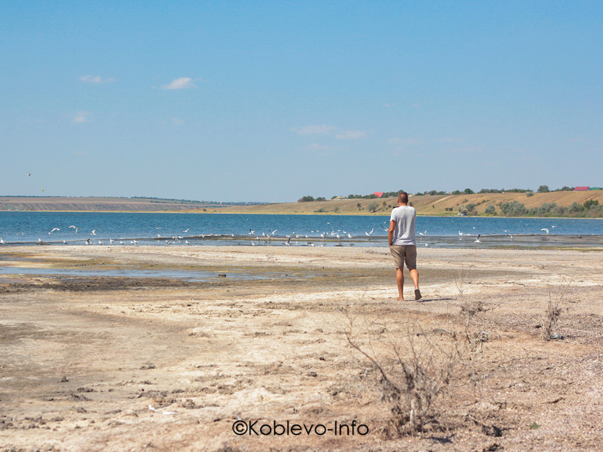 Лечебные грязи Тилигульского лимана летом в Коблево