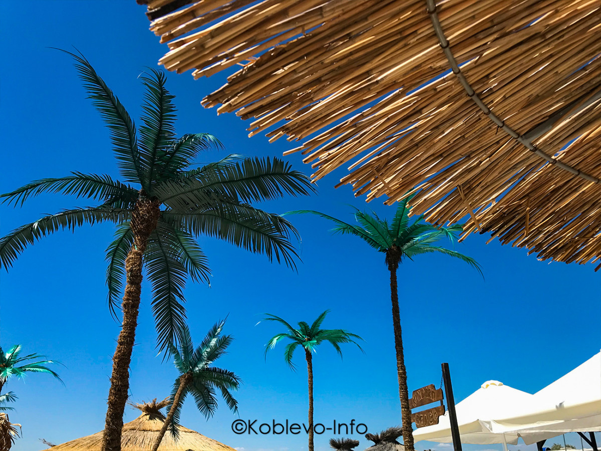 Экскурсия на катере на Кинбурнский полуостров