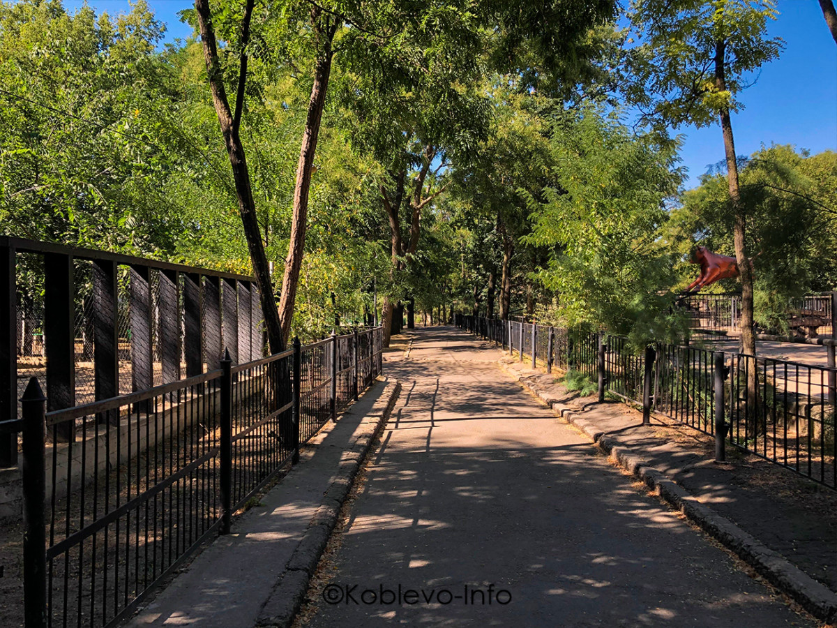 Экскурсия для деток в Николаевский зоопарк
