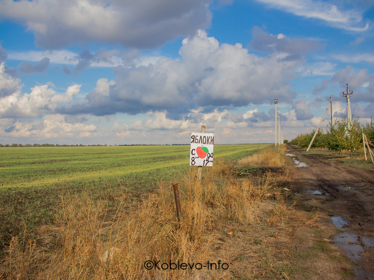 Экскурсии из Коблево