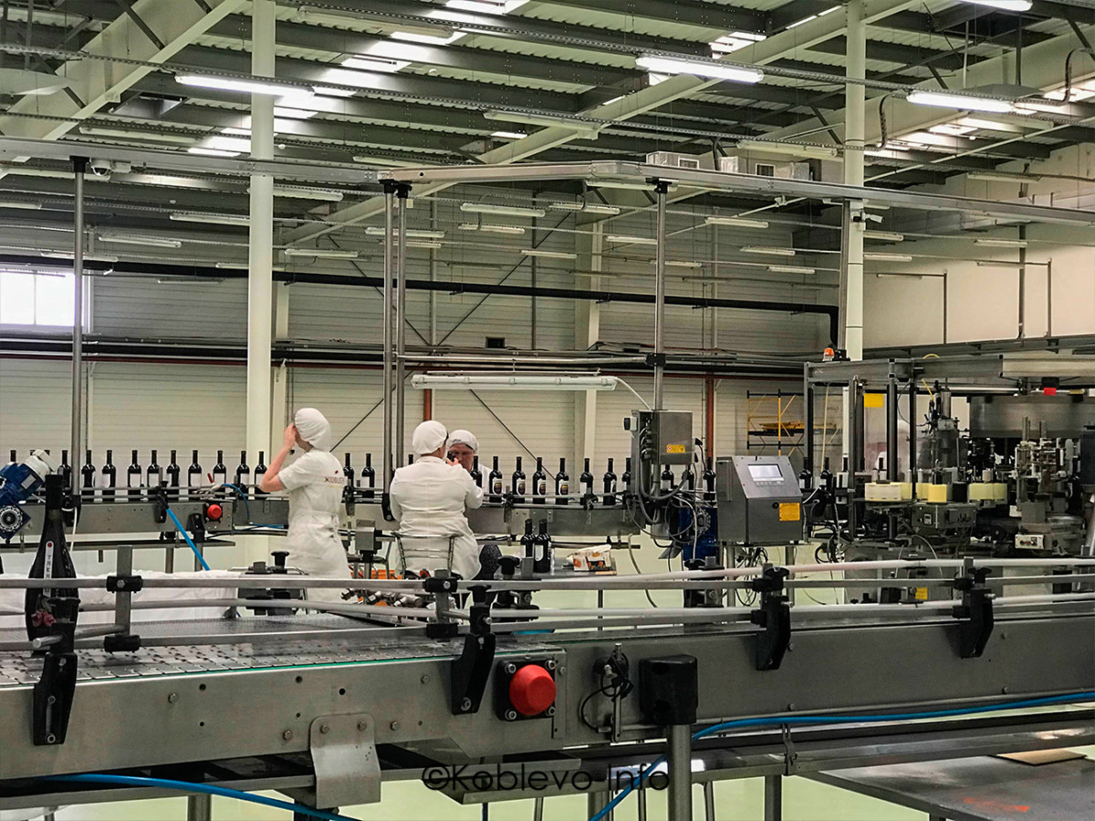 Процесс разлива вина в тару на винзаводе Коблево