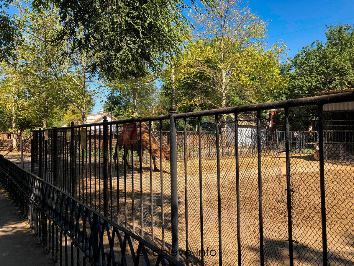 цены на билеты в Николаевский зоопарк