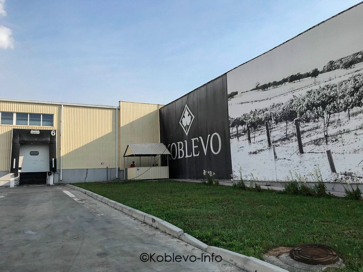 Посетить экскурсию Коблево