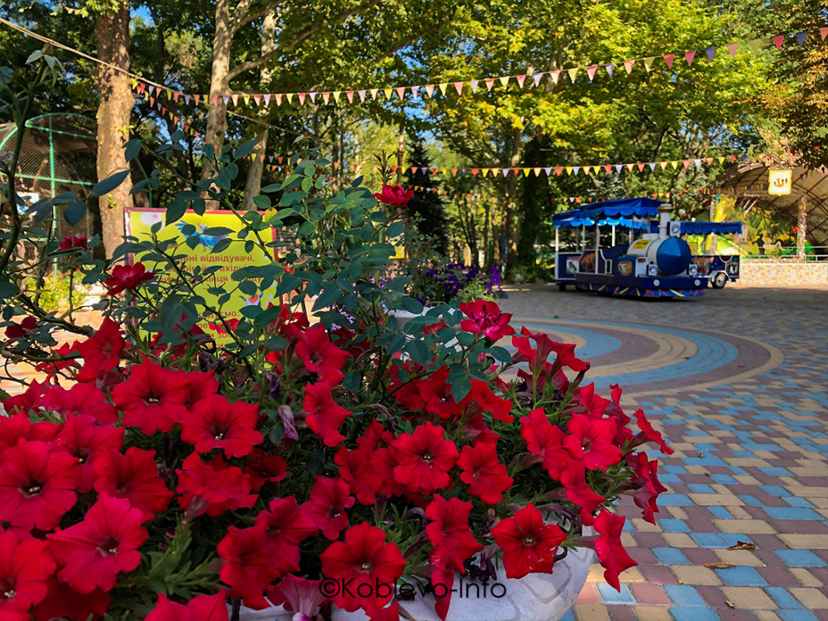 Семейный отдых в зоопарке Николаеве