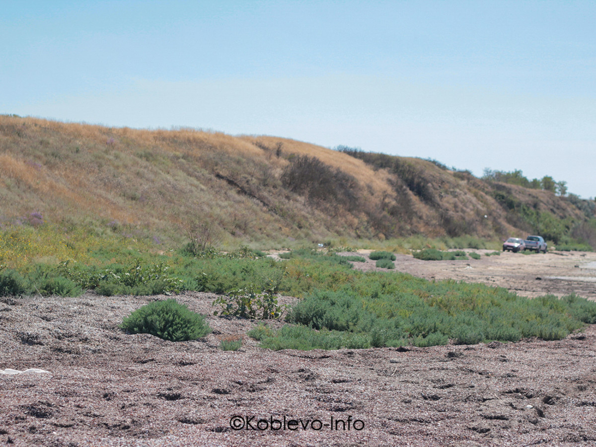 Свойства лечебных грязей
