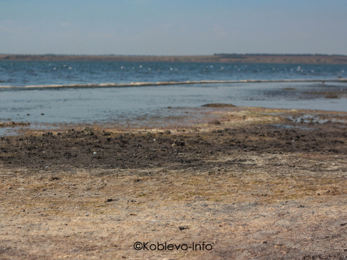 Отдых в Коблево 2021 на Тилигульском лимане