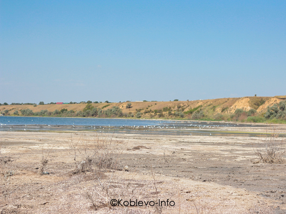 Сколько стоит экскурсия на Тилигульский лиман