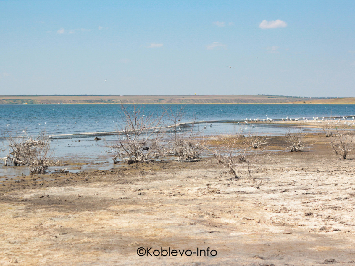Где взять лечебную грязь в Коблево
