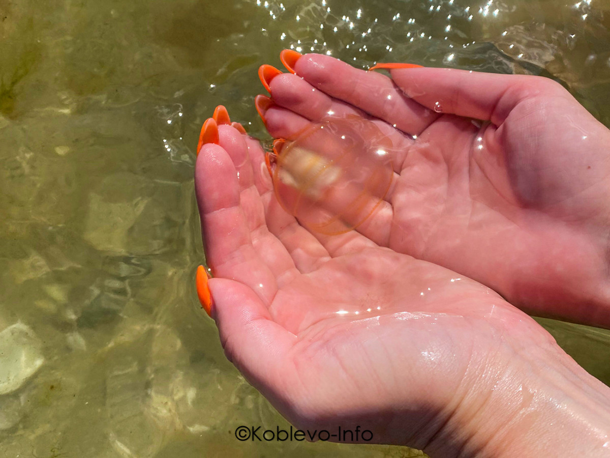 Отдых с детьми на Кинбурнской косе