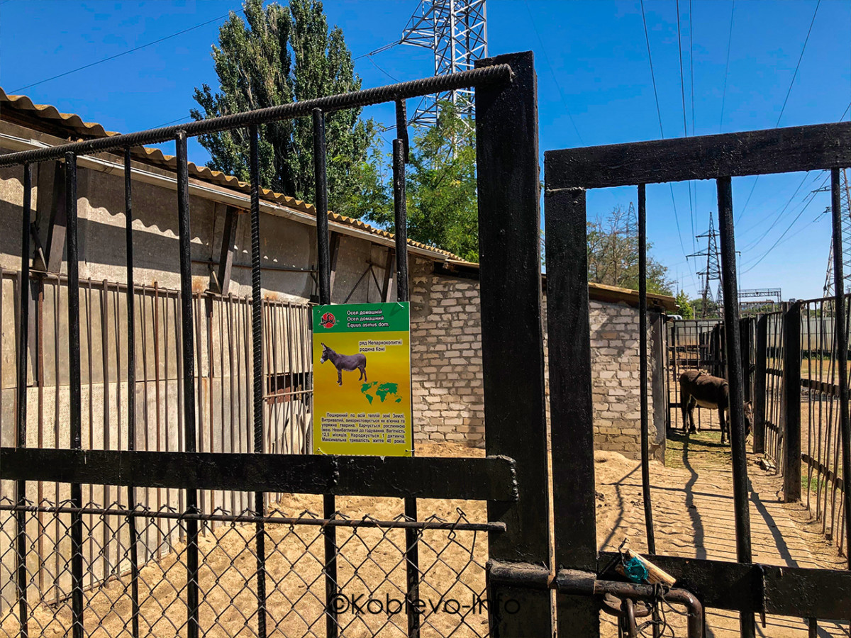 Вольер для осла в Николаевском зоопарке
