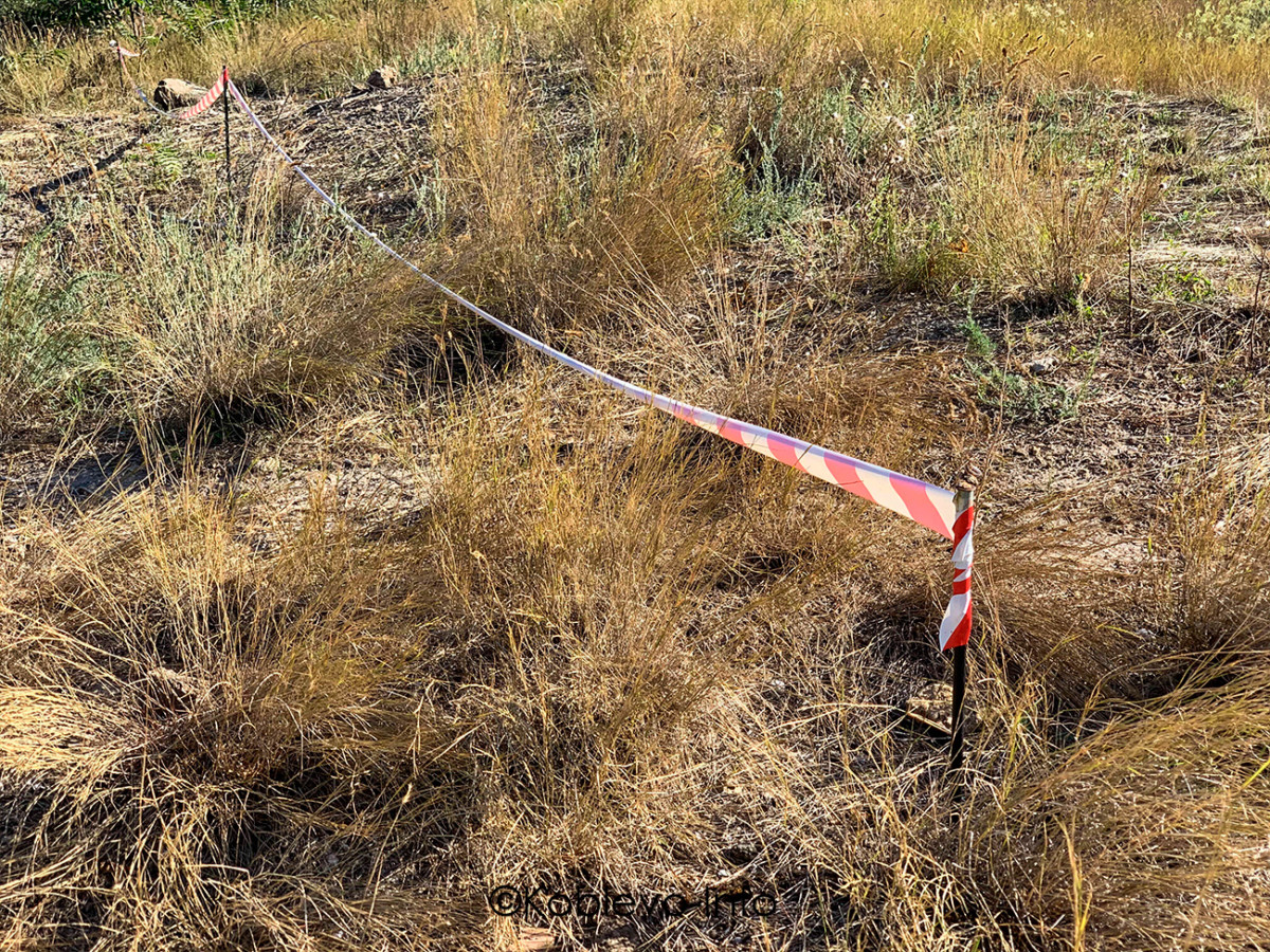 Поехать на остров Березань в Николаевской области