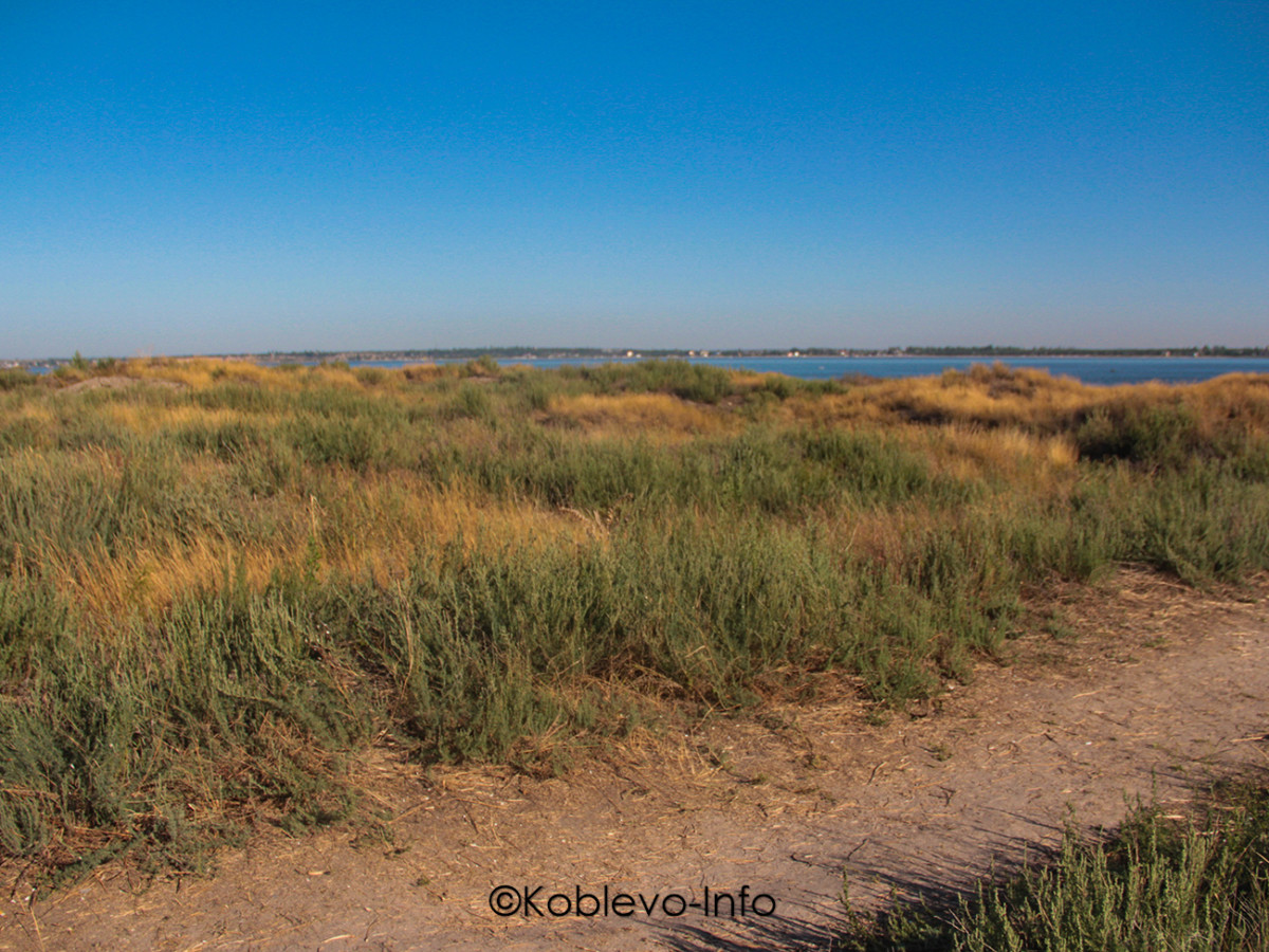Черное море омывает остров Березань