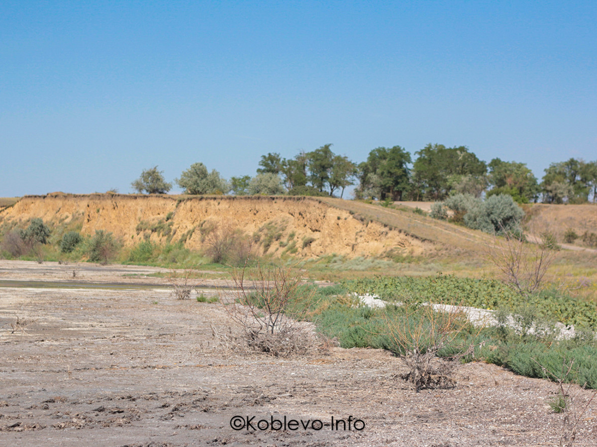 Оздоровительные экскурсии в Коблево