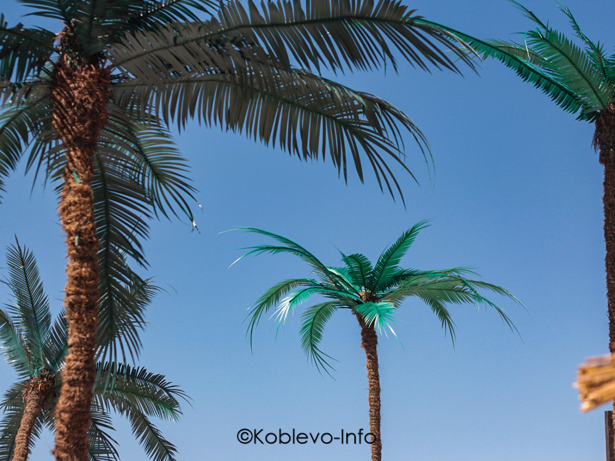 Ухоженный пляж Кинбурнского полуострова