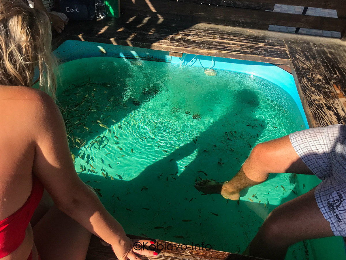 Услуги в аквапарке Коблево 2021