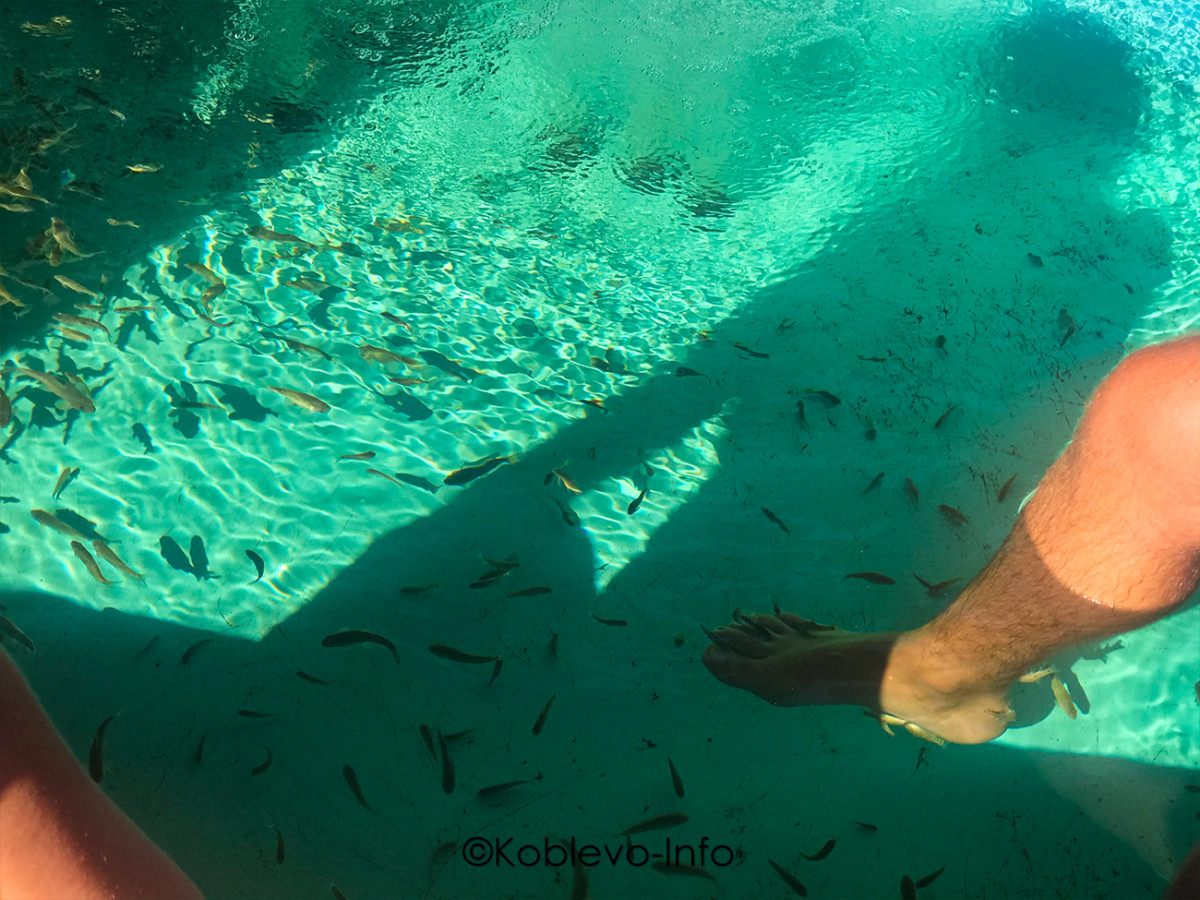 В аквапарке Коблево есть оздоровительная услуга пилинг рыбками