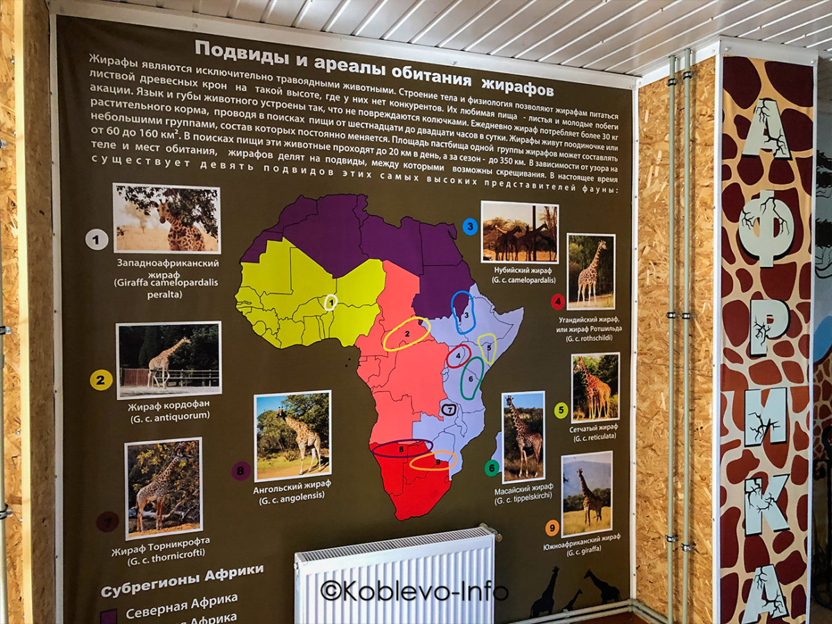 Цены на экскурсию в Николаевский зоопарк