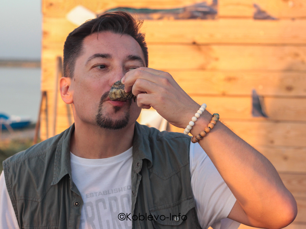 Устрицы в Коблево