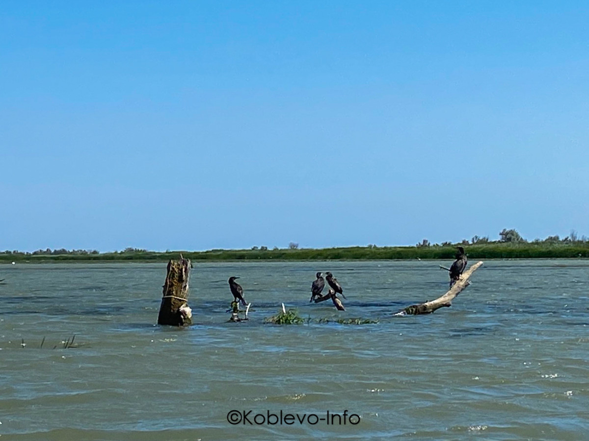 Вилково экскурсия