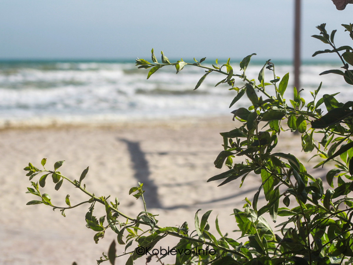 Где сделать красивые фото в Коблево