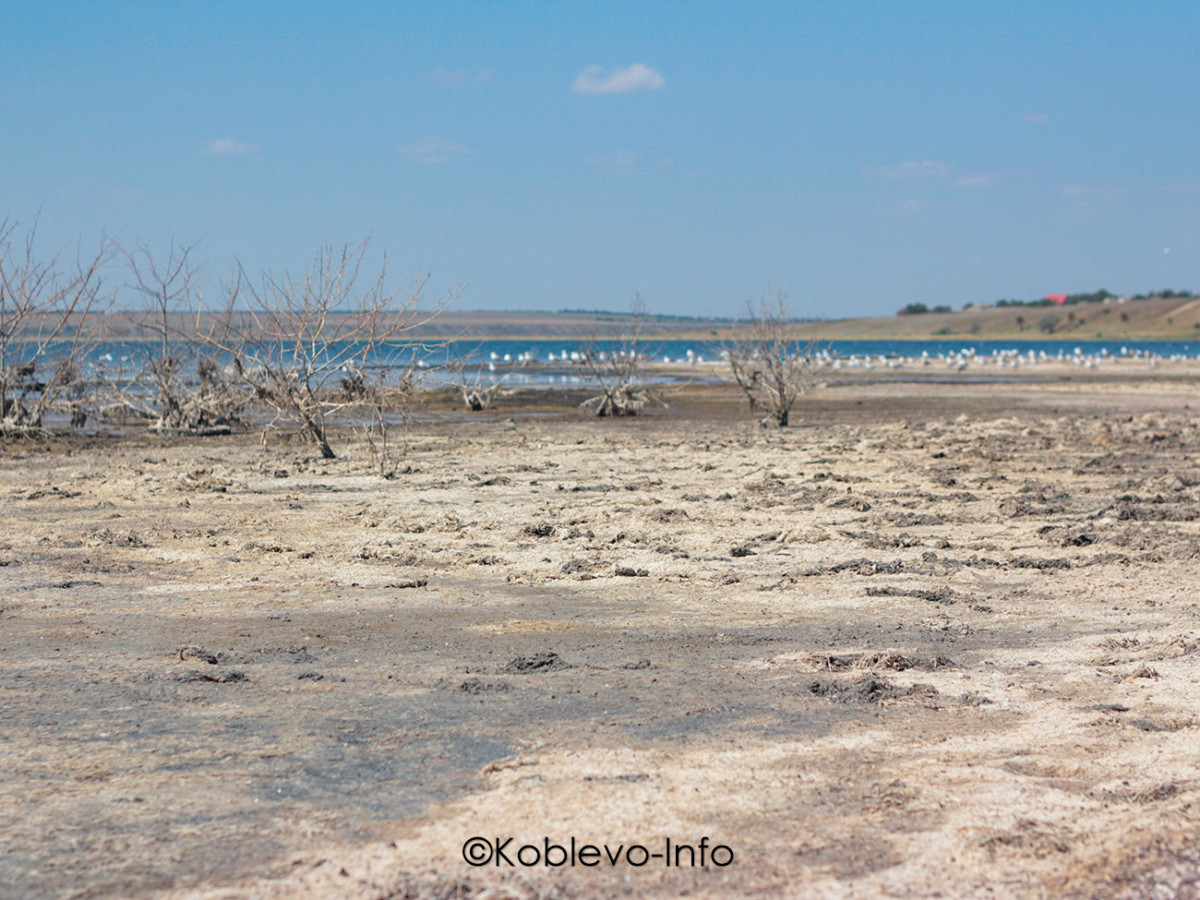 Экскурсии из Коблево