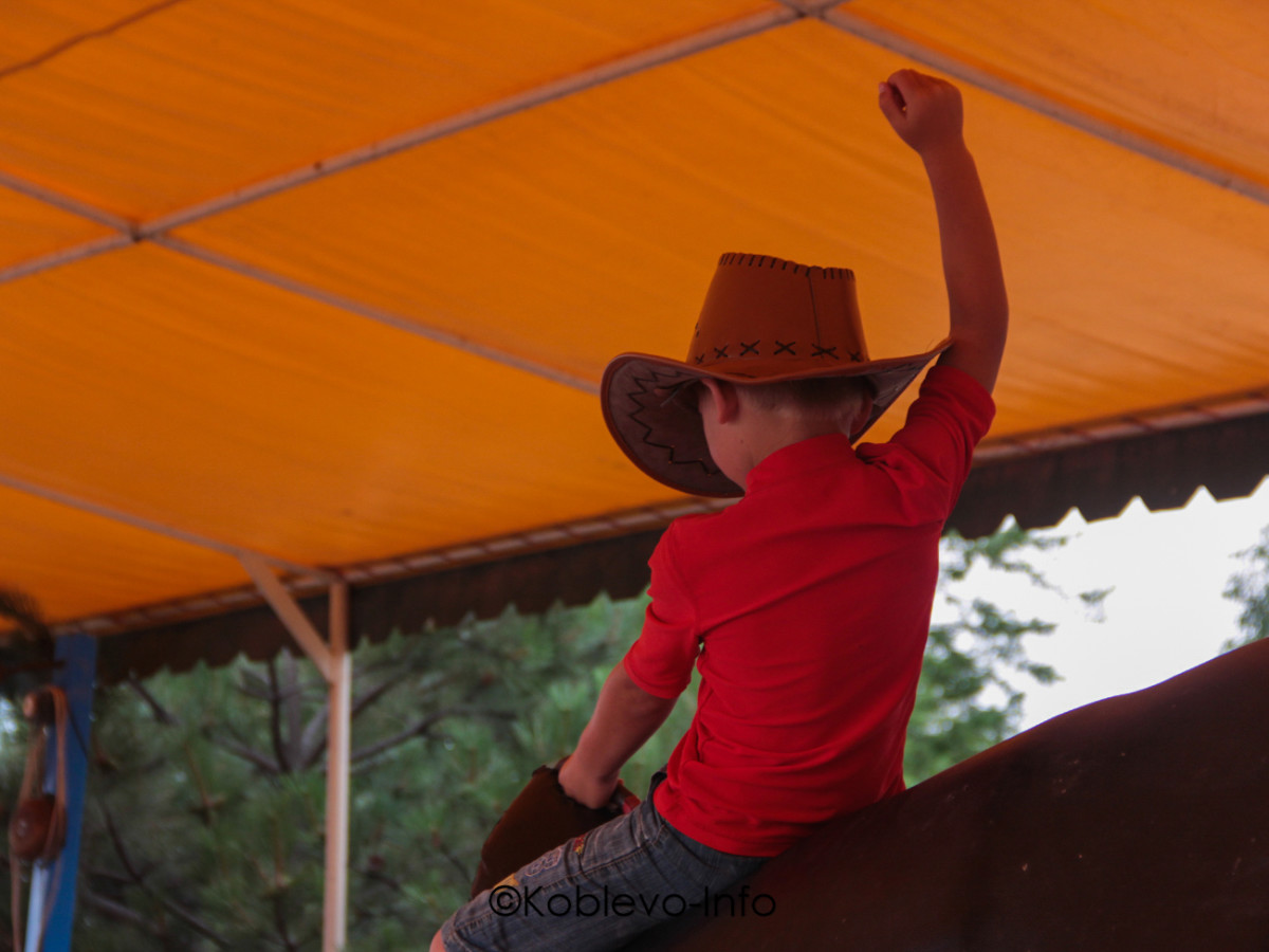 Развлечения в Родео парке Коблево