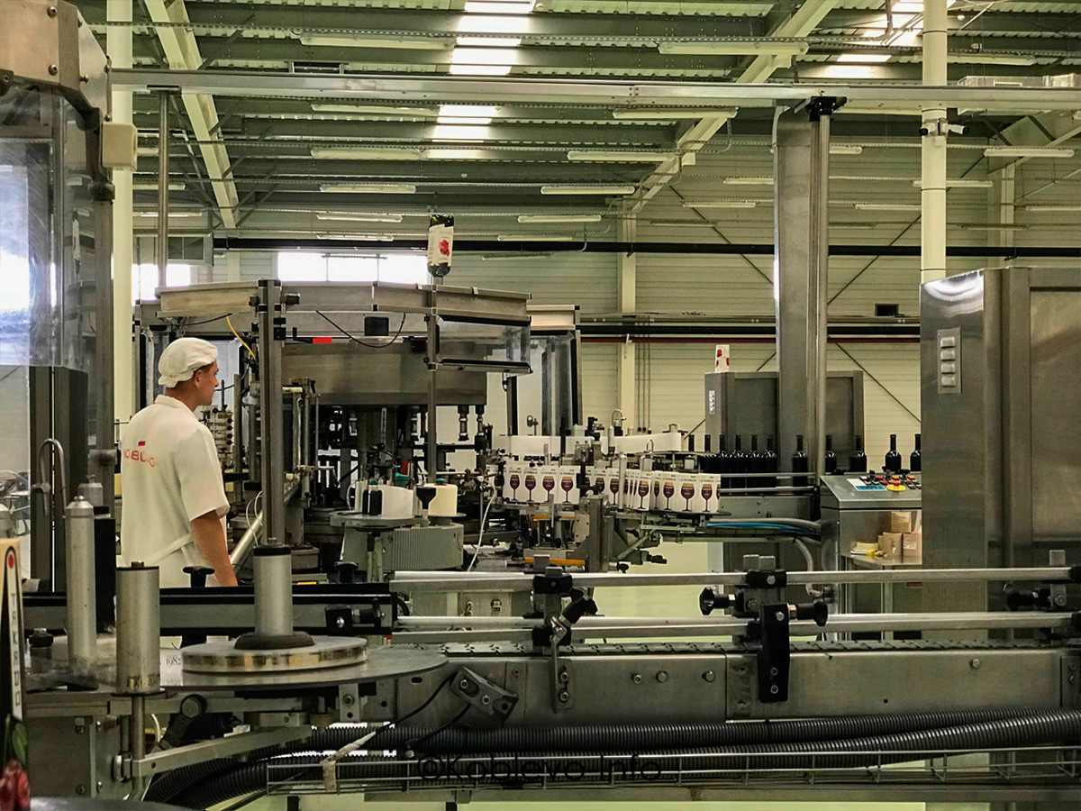 Фирменные вина и коньяк на заводе Коблево