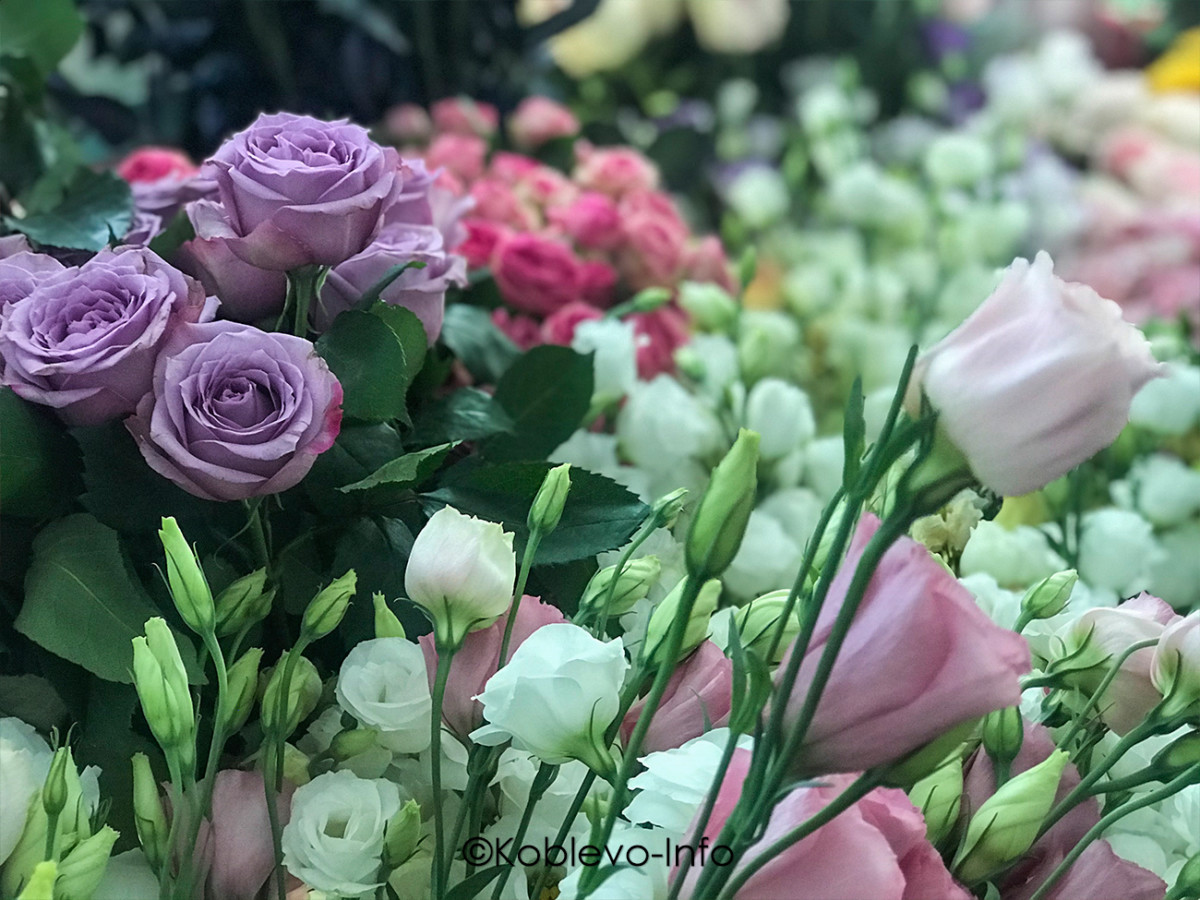 магазин Новый сад в Коблево