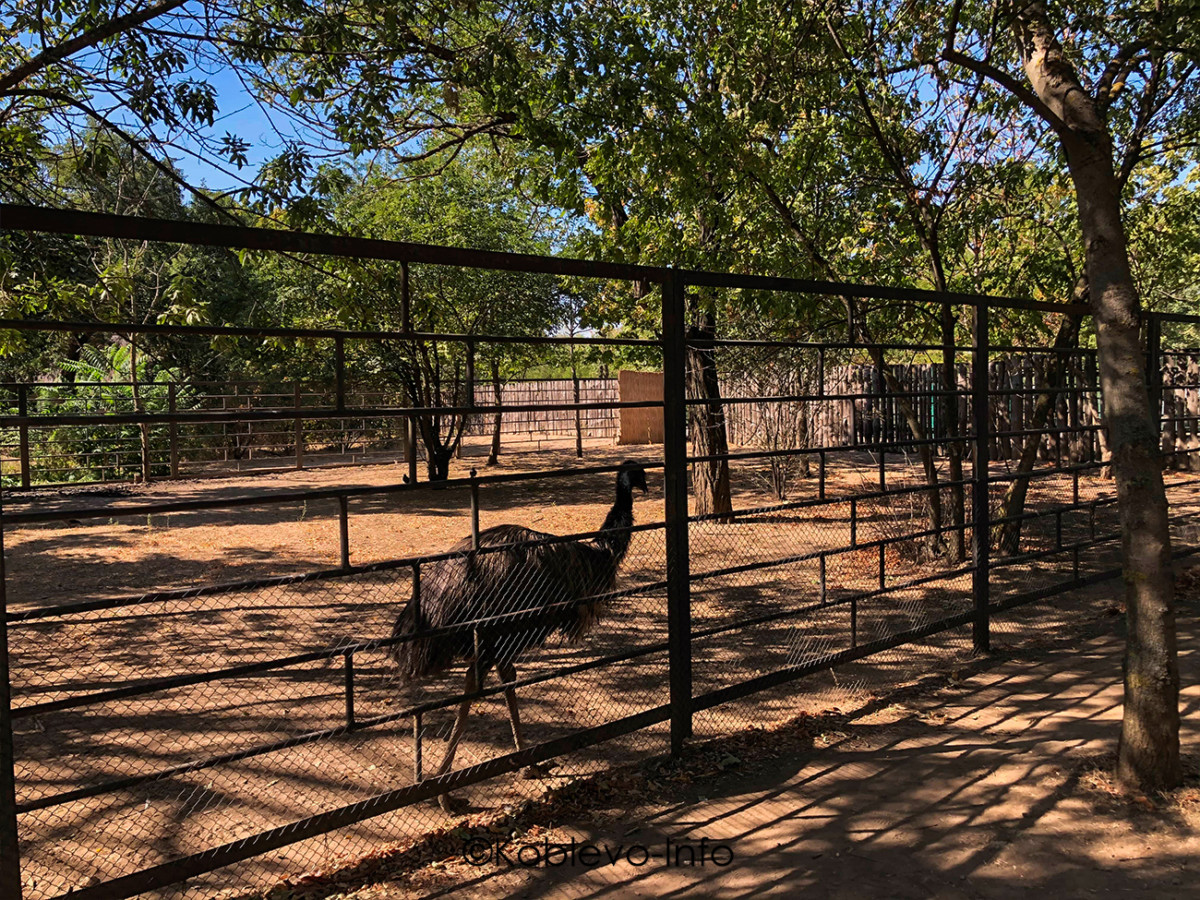 Семейные экскурсии Коблево