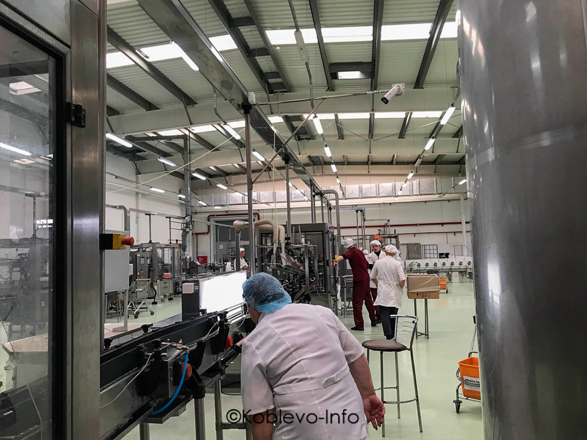 Как заказать экскурсию на винзавод Коблево