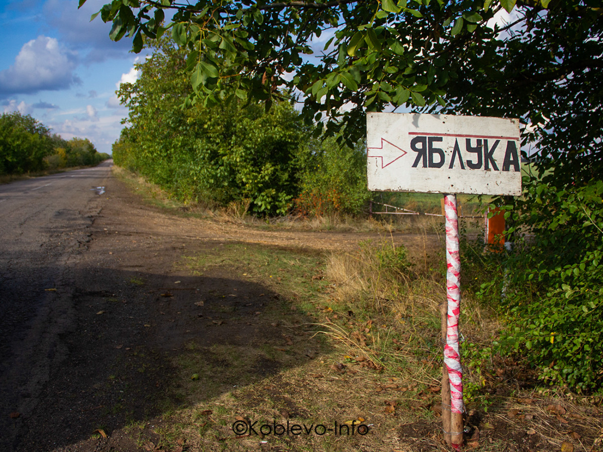 Какие есть экскурсии из Коблево