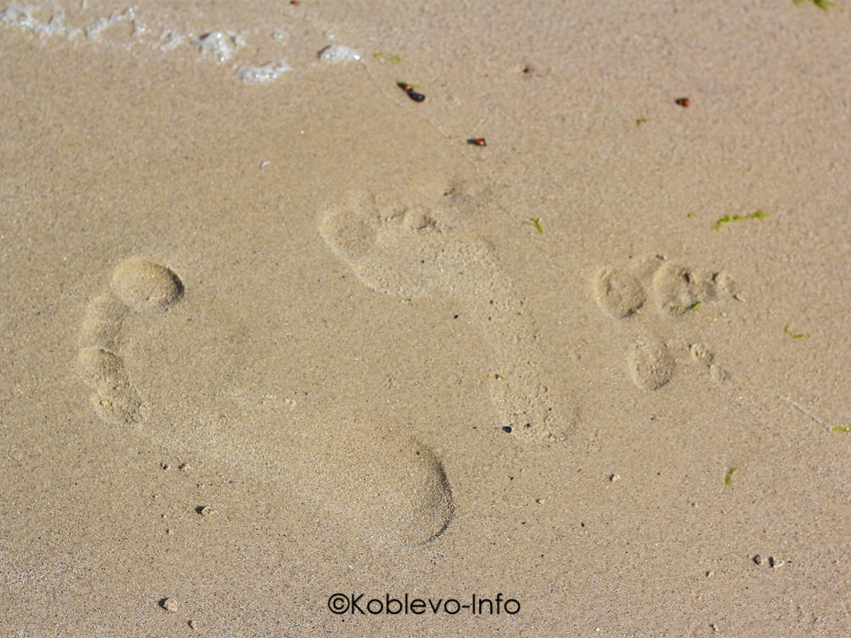 Пляжные фото Коблево летом