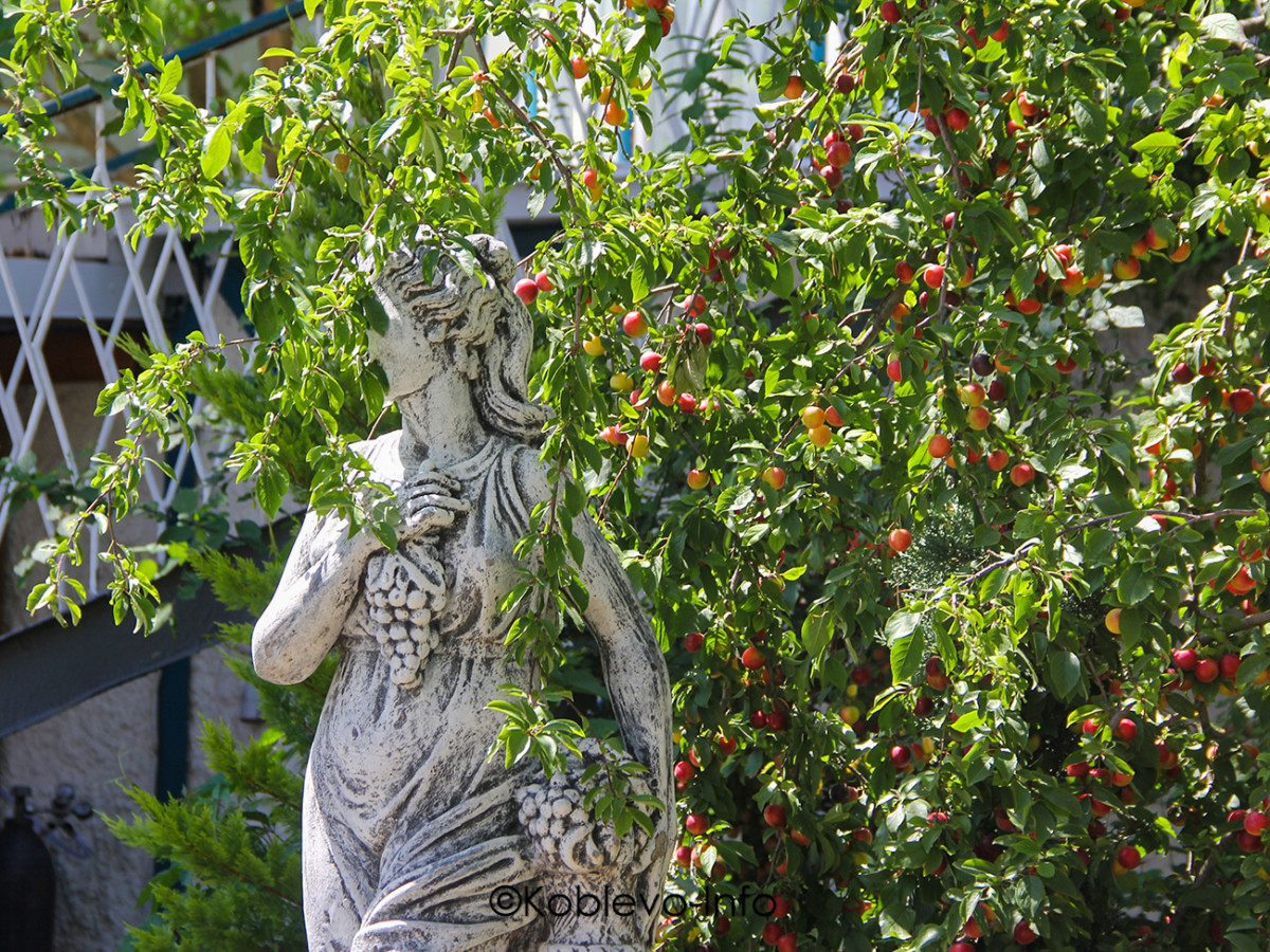 Фото территории отеля Валлен парк в Коблево