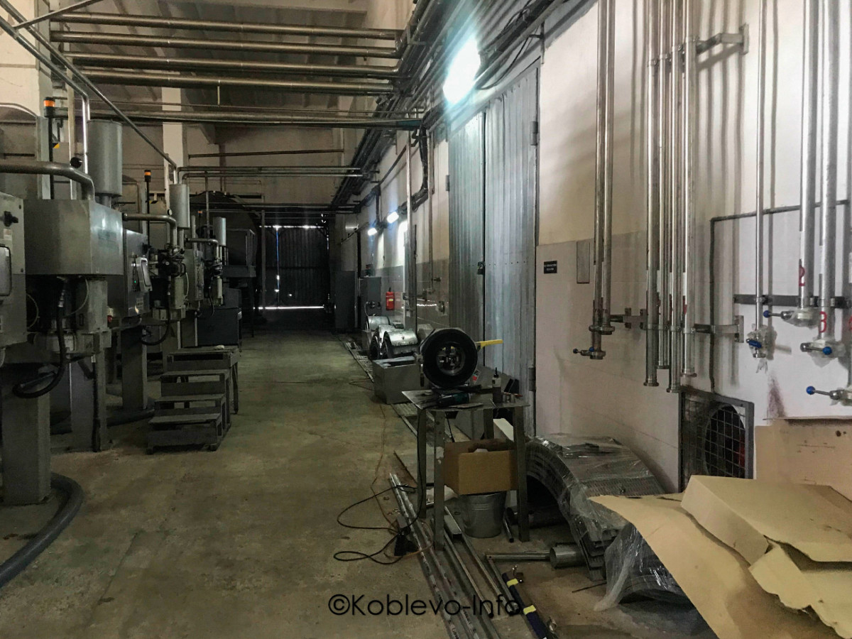 Заказать экскурсию на винзавод Коблево летом