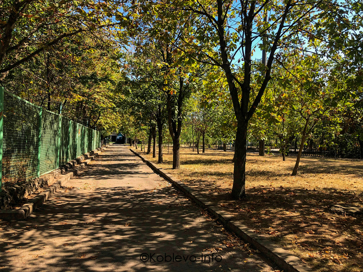 Большая территория Николаевского зоопарка